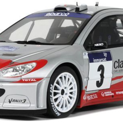 Panizzi Peugeot 206 WRC TDC 2002