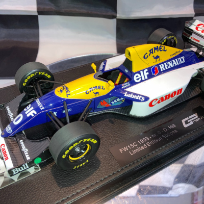 Damon Hill 1:18 Williams FW15C #0 1993