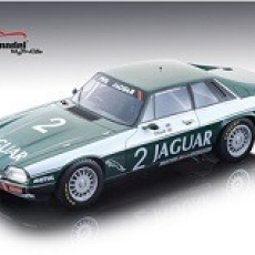 Win Percy Jaguar XJS T.W.R Jaguar Racing 500km of Donington 1984